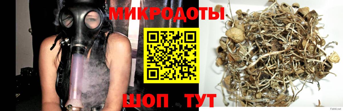 Троицк  Псилоцибиновые грибы Magic Shrooms  Вход с VPN 